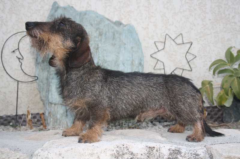 CH. Cosack de ker ki douar